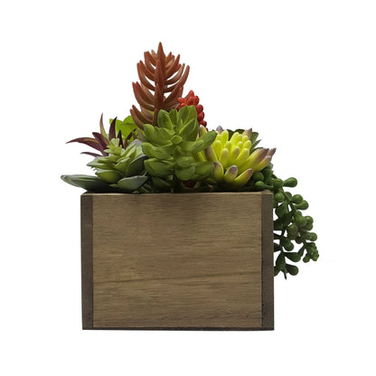 7.5" Artificial Mixed Succulent Plants in Brown Wood Box