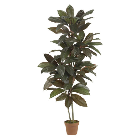 5' Cordyline Artificial Plant (Real Touch), Green