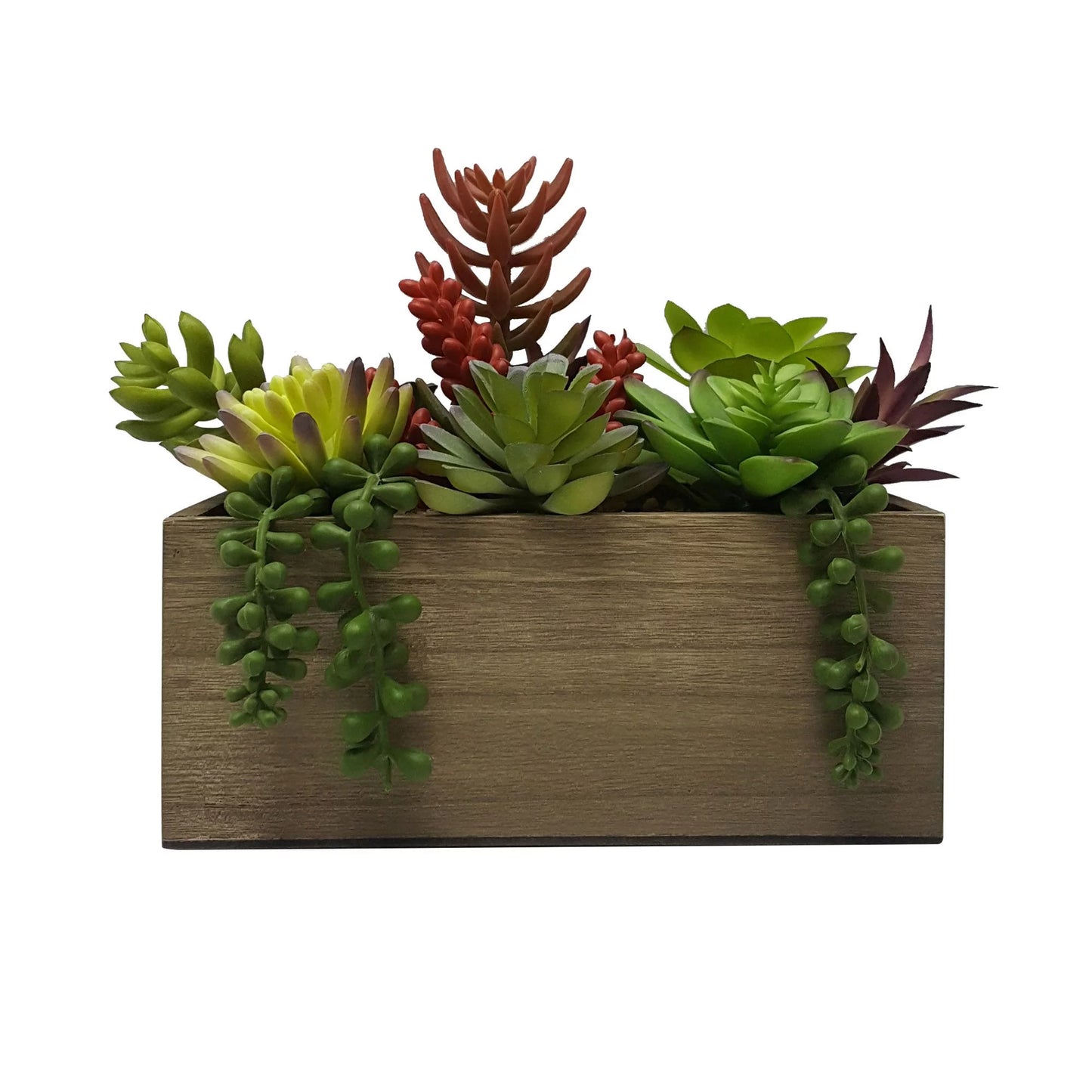 7.5" Artificial Mixed Succulent Plants in Brown Wood Box