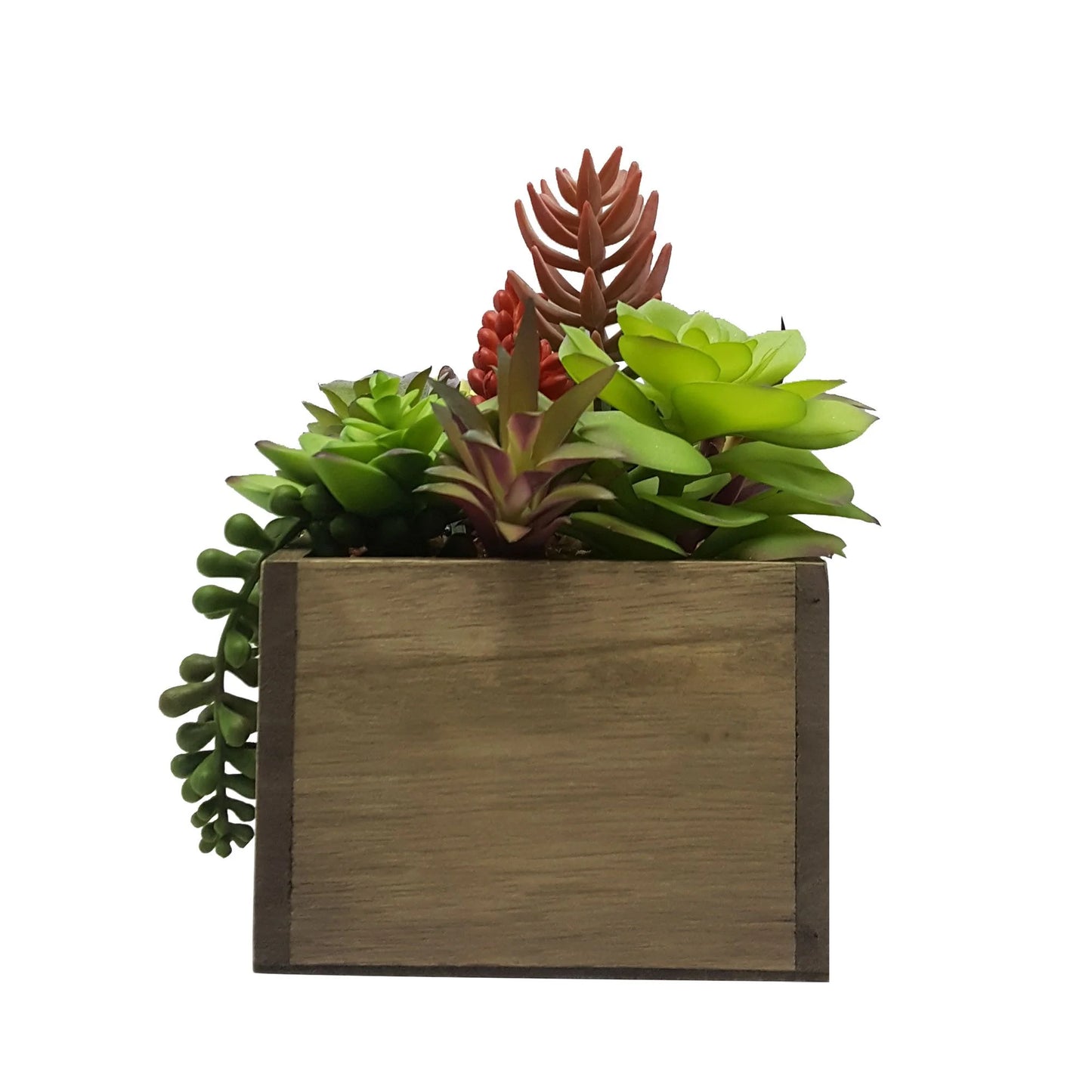 7.5" Artificial Mixed Succulent Plants in Brown Wood Box