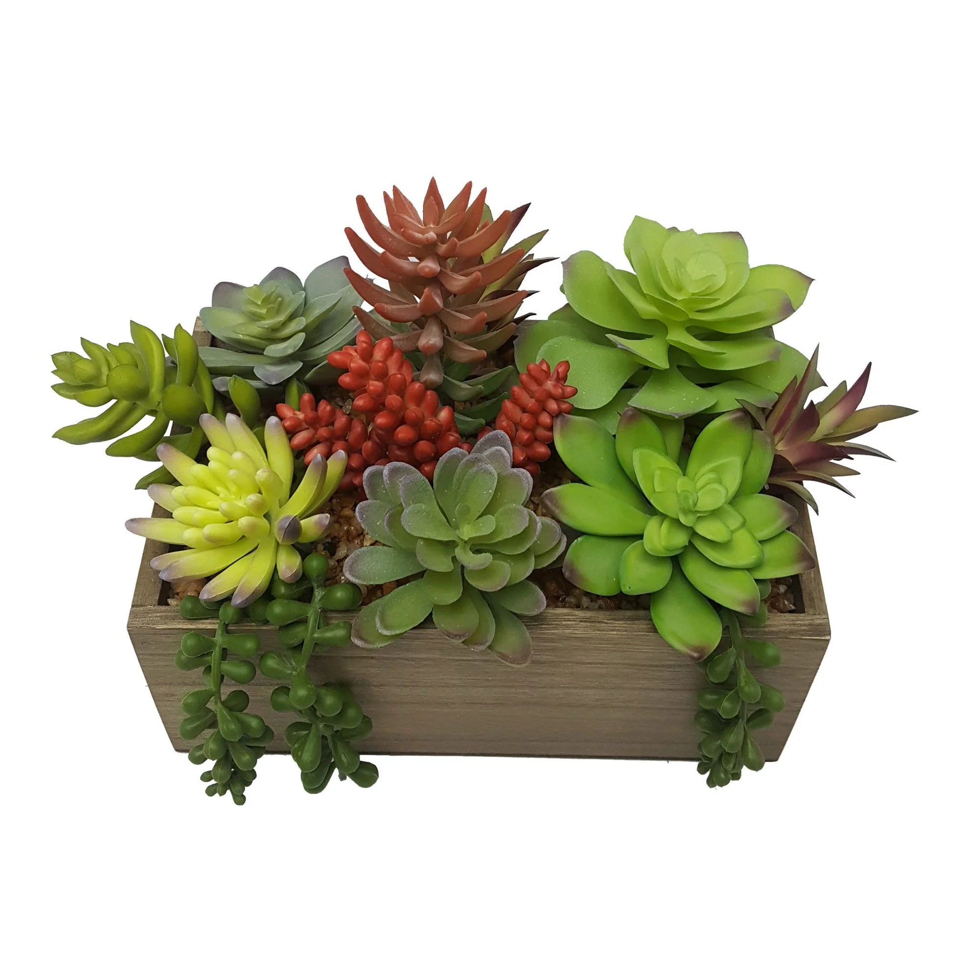 7.5" Artificial Mixed Succulent Plants in Brown Wood Box