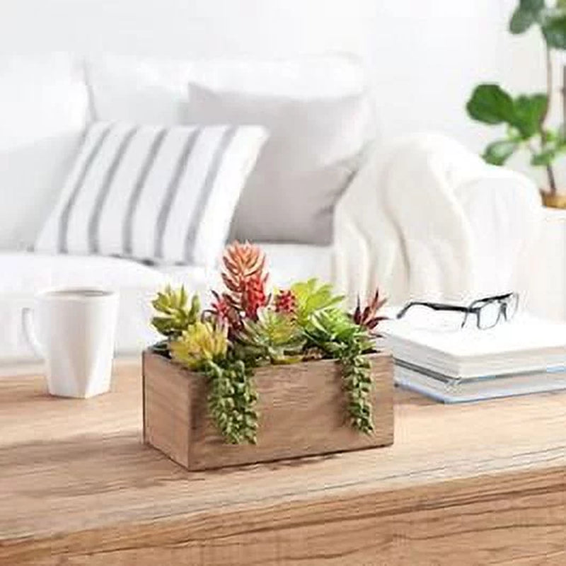 7.5" Artificial Mixed Succulent Plants in Brown Wood Box