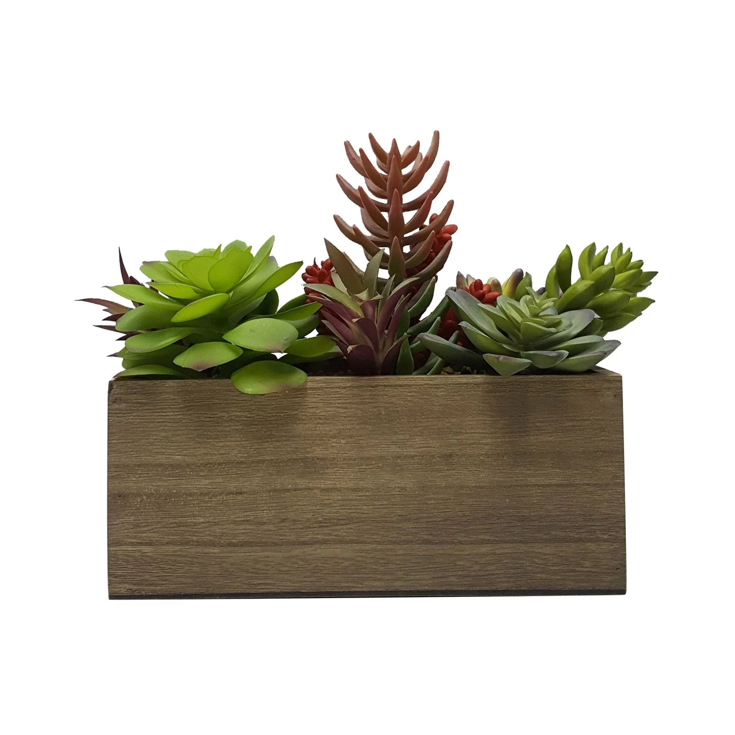 7.5" Artificial Mixed Succulent Plants in Brown Wood Box