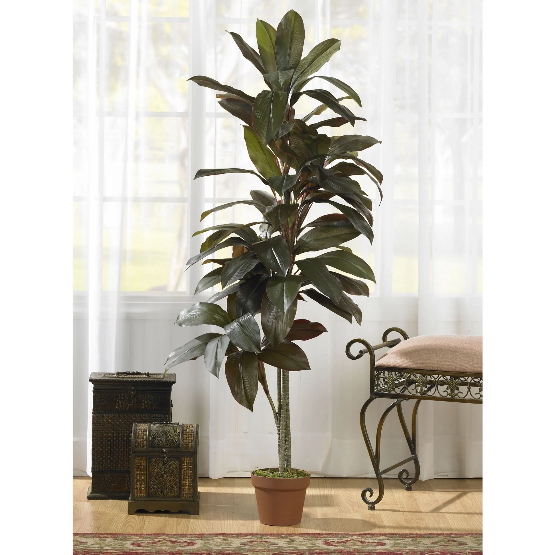 5' Cordyline Artificial Plant (Real Touch), Green